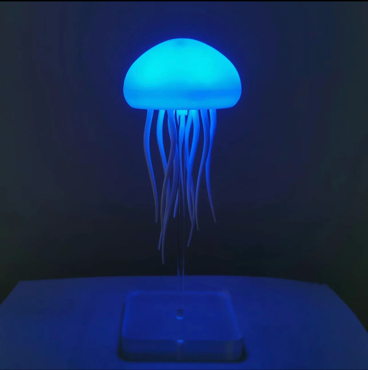 JellyDream Lamp